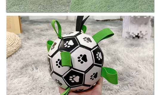 Lovely Paw Football Dog Toy-0