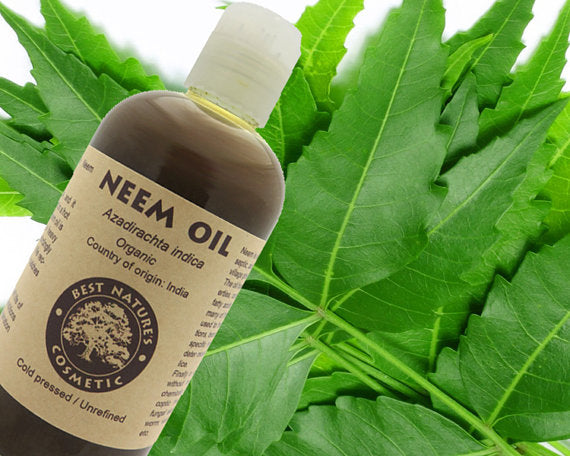 Ulei de Neem Virgin 100% pur (organic, nediluat,